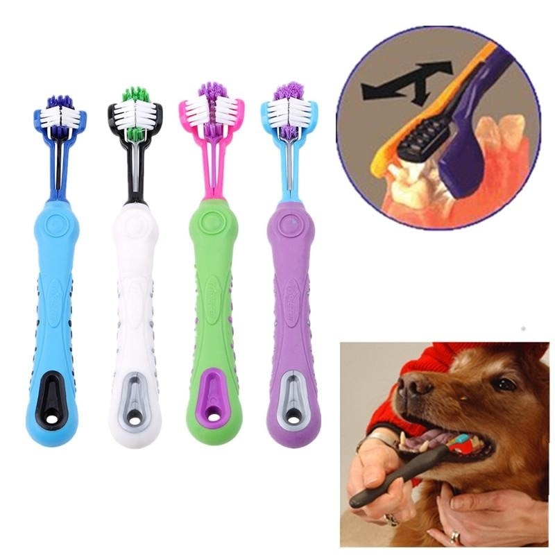 Dog ToothBrush
